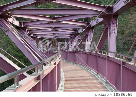 あやとり橋 18886569