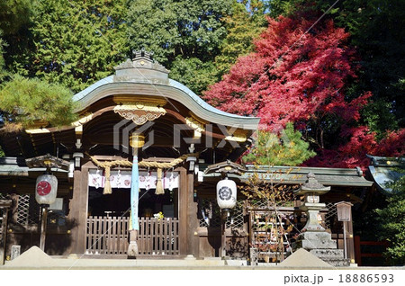 八大神社 18886593