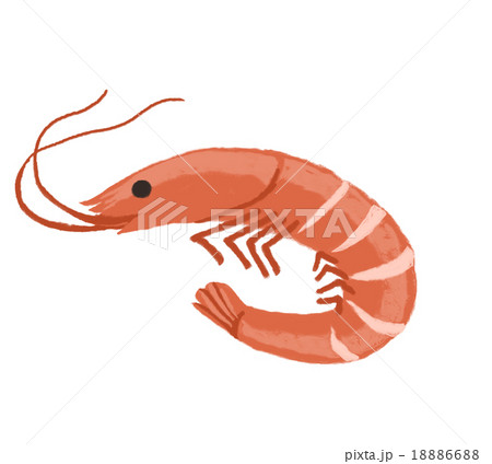 海老 海老 18886688
