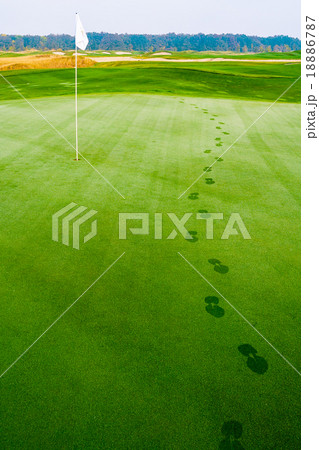 footprints on golf grass near flag in dew footprints on golf grass near flag in dew 18886787