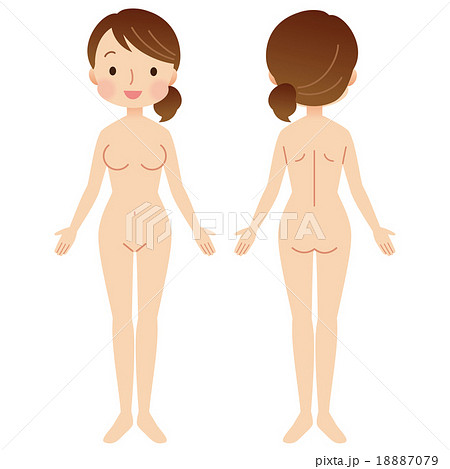 女性の身体 裸 全身のイラスト素材