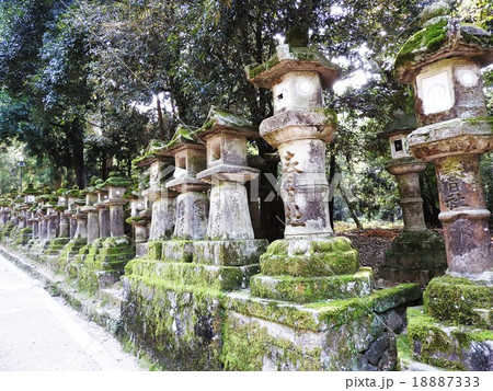 奈良時代に平城京の守護と国民の繁栄を祈願する為に創建され、藤原氏の氏神を祀る春日大社。 18887333