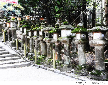 奈良時代に平城京の守護と国民の繁栄を祈願する為に創建され、藤原氏の氏神を祀る春日大社。 18887335