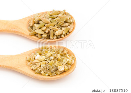 フリーカ(フリーケ):Freekeh フリーカ(フリーケ):Freekeh 18887510