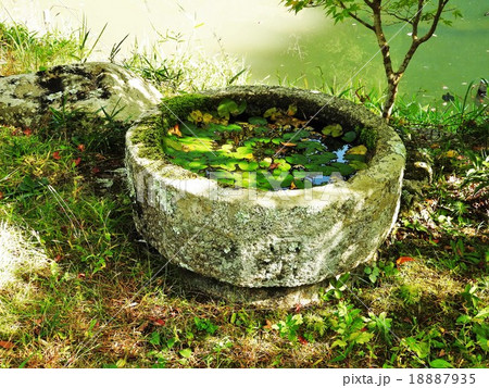 浄瑠璃寺は薬師仏を祀る三重塔、阿弥陀仏九体と本堂、宝池を中心とした庭園が平安時代のまま残る寺である。 18887935