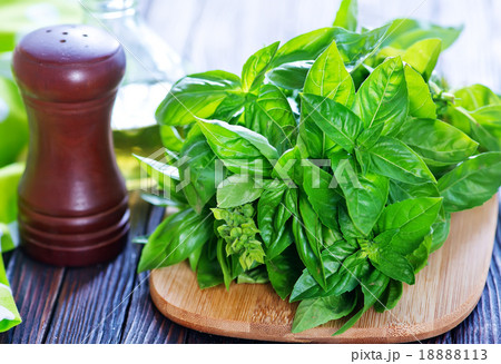 fresh basil 18888113