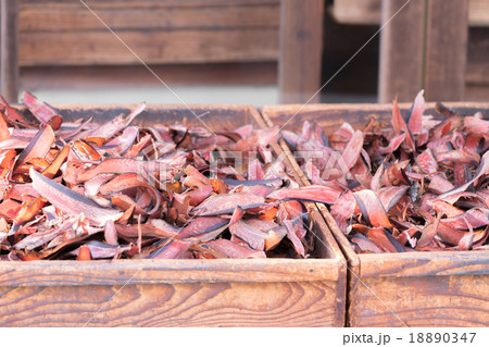 店先のかつおぶし 18890347