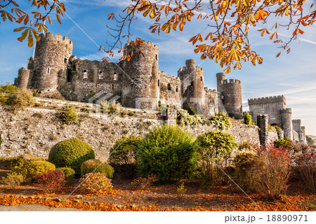 Conwy Castle with autumn leaves in Wales, UK 18890971
