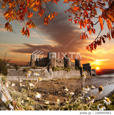 Conwy Castle with autumn leaves in Wales, UK 18890983