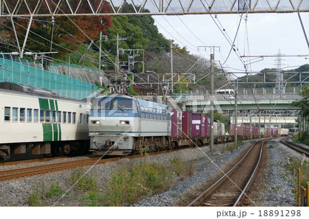 貨物列車 EF66 コンテナ 東戸塚駅 貨物列車 EF66 コンテナ 東戸塚駅 18891298