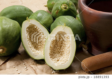 パパイヤとクロック サーク 18891393