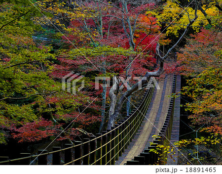 花貫渓谷汐見滝吊り橋 18891465