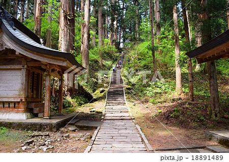 羽黒山の杉並木 ミシュラン グリーンガイド ジャポン三ツ星獲得の写真素材 1814