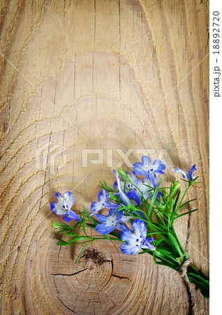 flowers on wooden background 18892720