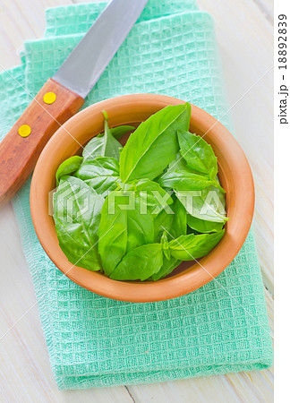 fresh basil fresh basil 18892839
