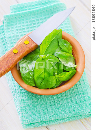 fresh basil fresh basil 18892840