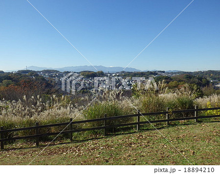 小山田緑地・みはらし広場の丘より富士山と景色（東京都町田市） 18894210