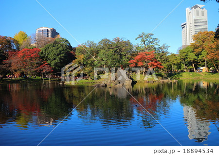 小石川後楽園 小石川後楽園 18894534