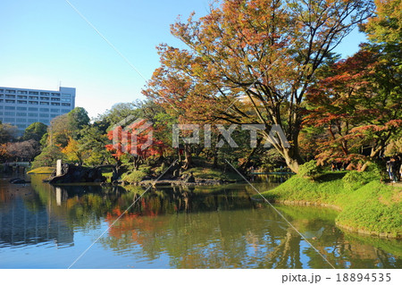 小石川後楽園 18894535
