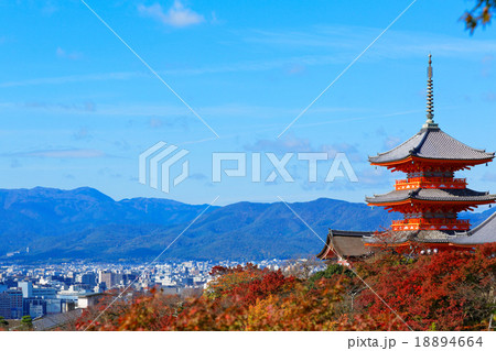 清水寺の三重塔と紅葉 18894664