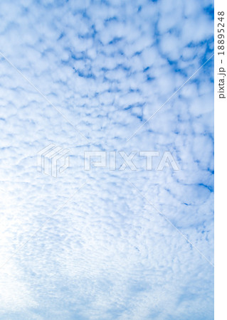 雲　高積雲　積雲　雲片　青い空　一般的な空と雲　白い雲　秋の空　背景用素材　クラウド　合成用背景 18895248