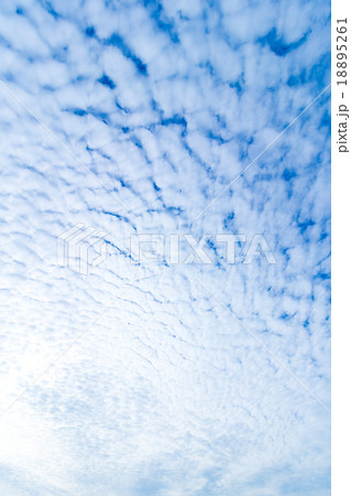 雲　高積雲　積雲　雲片　青い空　一般的な空と雲　白い雲　秋の空　背景用素材　クラウド　合成用背景 18895261