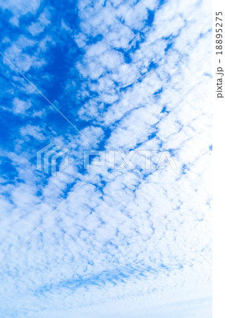 雲　高積雲　積雲　雲片　青い空　一般的な空と雲　白い雲　秋の空　背景用素材　クラウド　合成用背景 18895275