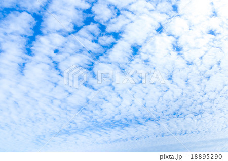 雲　高積雲　積雲　雲片　青い空　一般的な空と雲　白い雲　秋の空　背景用素材　クラウド　合成用背景 18895290