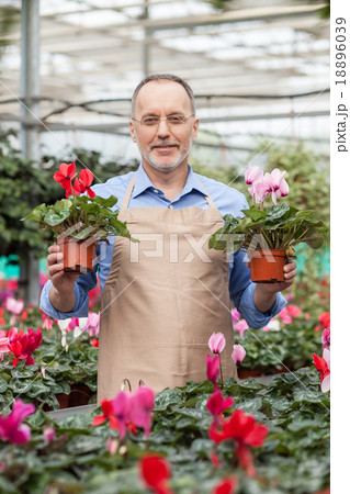 Cheerful senior shop assistant at garden center 18896039