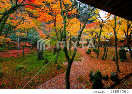 九州 福岡県 大宰府 光明禅寺 観光地 紅葉 九州 福岡県 大宰府 光明禅寺 観光地 紅葉 18897569