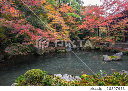 池泉鑑賞式庭園(蓮華寺) 池泉鑑賞式庭園(蓮華寺) 18897938