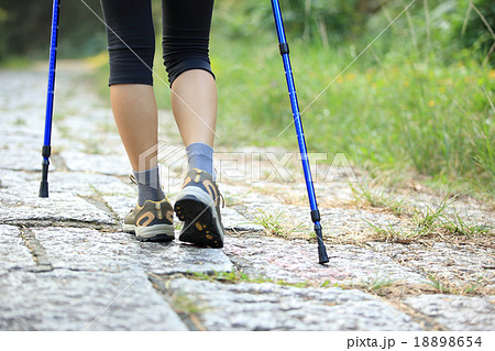 woman hiker hiking on forest trail woman hiker hiking on forest trail 18898654