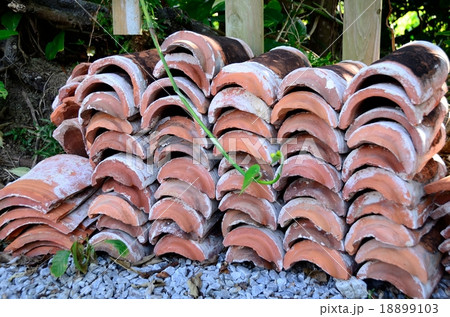 赤瓦（沖繩古民家） 18899103