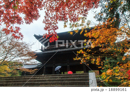 南禅寺　紅葉 18899161