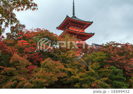 清水寺 紅葉 清水寺 紅葉 18899432