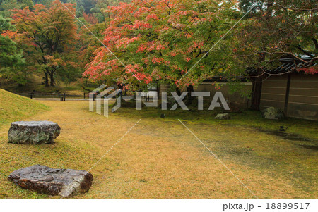 高台寺 紅葉 高台寺 紅葉 18899517