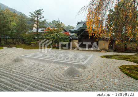 高台寺　紅葉 18899522