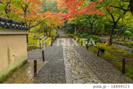 高台寺 紅葉 高台寺 紅葉 18899523