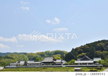 橘寺 奈良 18899541