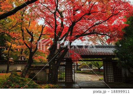 しょうざんリゾート　紅葉 18899911