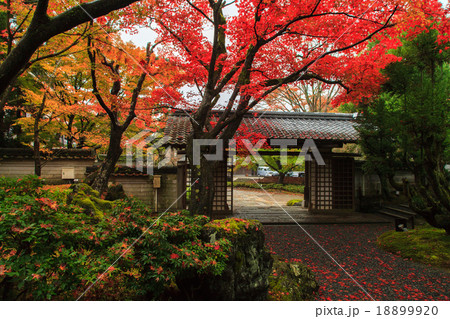しょうざんリゾート 紅葉 しょうざんリゾート 紅葉 18899920