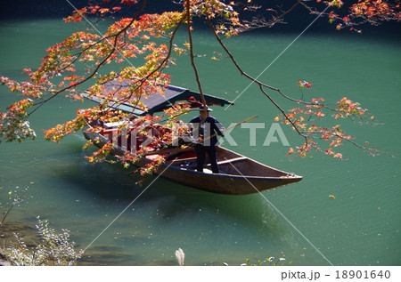 嵐山の風景 嵐山の風景 18901640