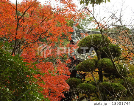 寺の紅葉 18901744