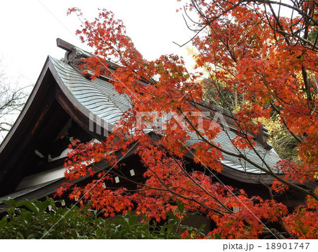 寺の紅葉 18901747