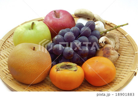 秋の味覚 18901883