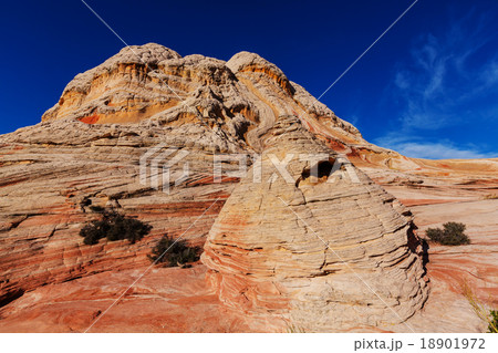 White pocket 18901972