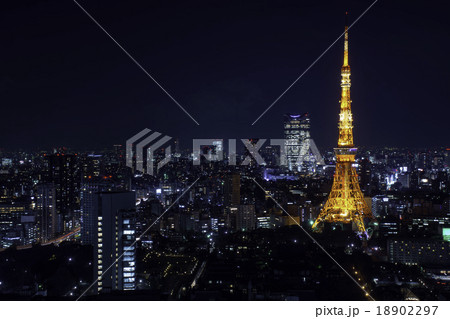 東京タワーと東京都心の夜景 18902297