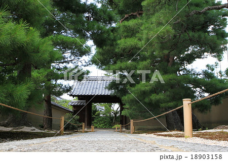 大慈院 18903158