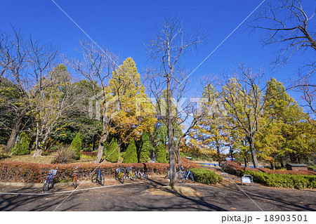 ボートハウス前の駐輪場 18903501