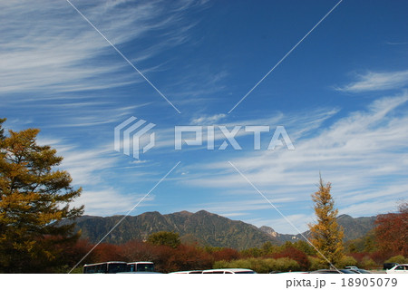 筋雲　 18905079